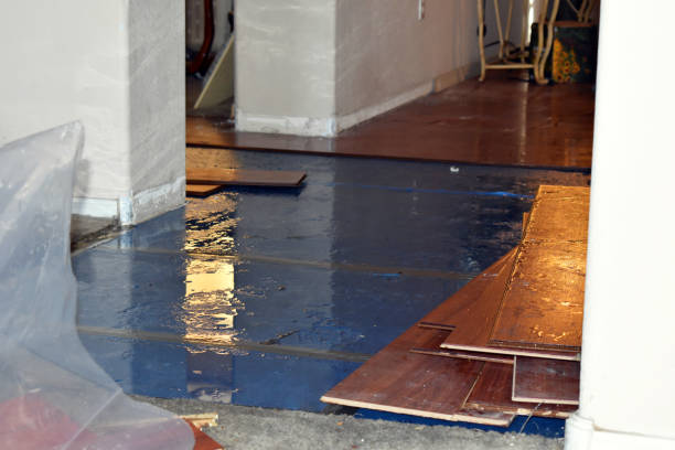 Professional Water Extraction technician working in Staples, CT